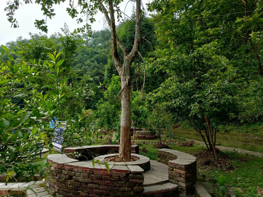 Curved stone retaining wall around a tree in a landscaped yard