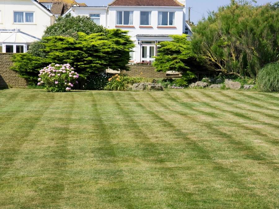 Freshly striped green lawn behind a white two-story home